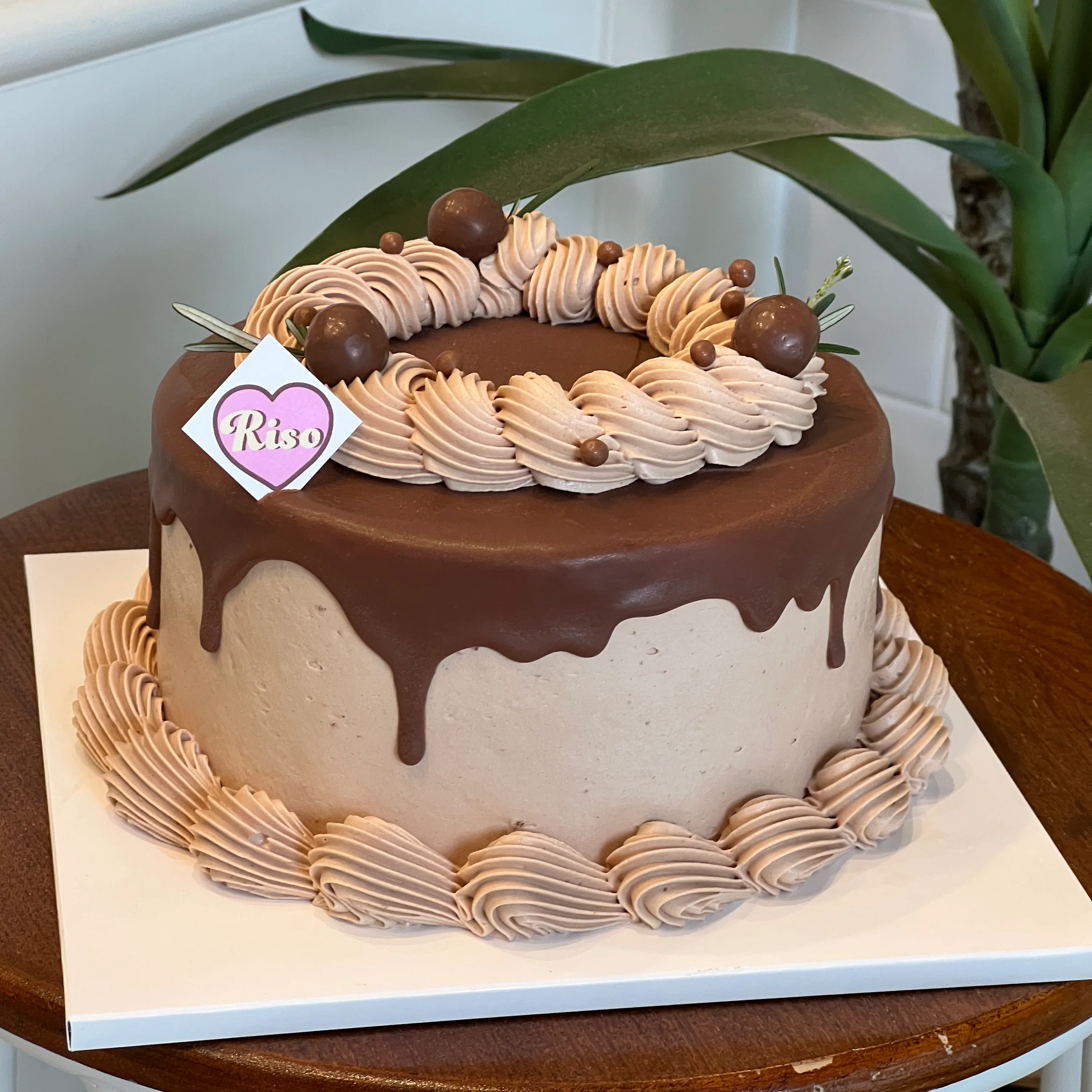 Fresh Cream Chocolate Cake - Image 3