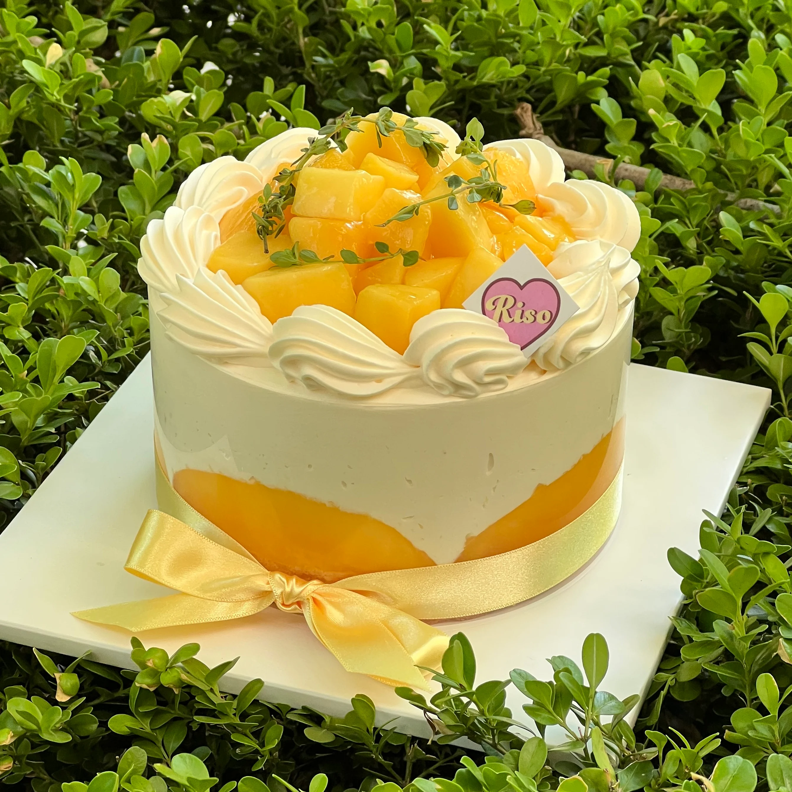 Fresh Cream Cakes