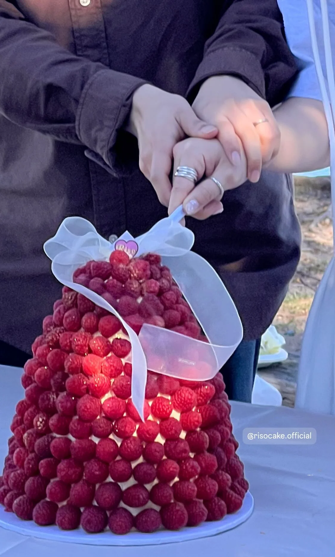 Raspberry Bloom Cake - Image 7