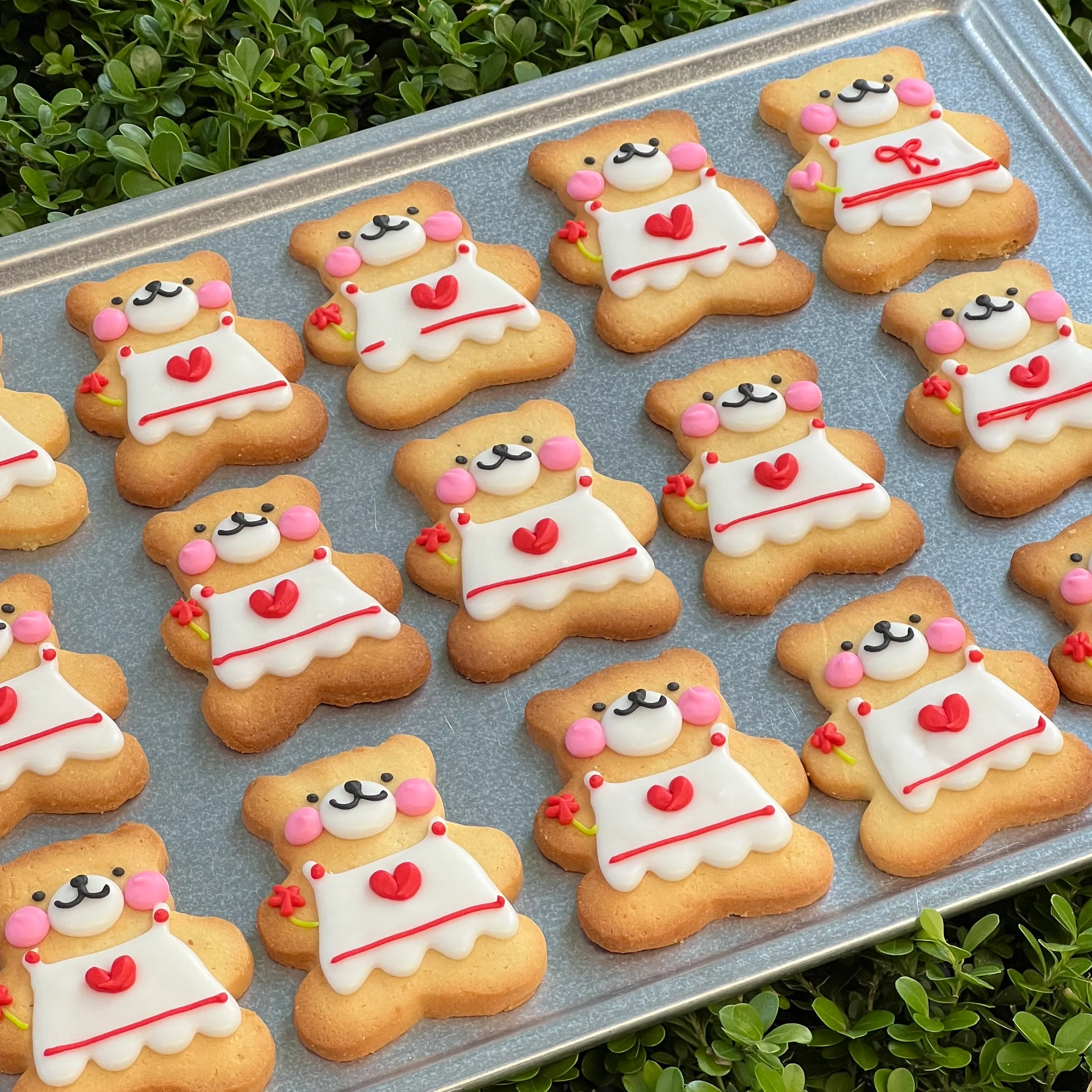 Teddy Bear Cookie (Lettering) - Image 4